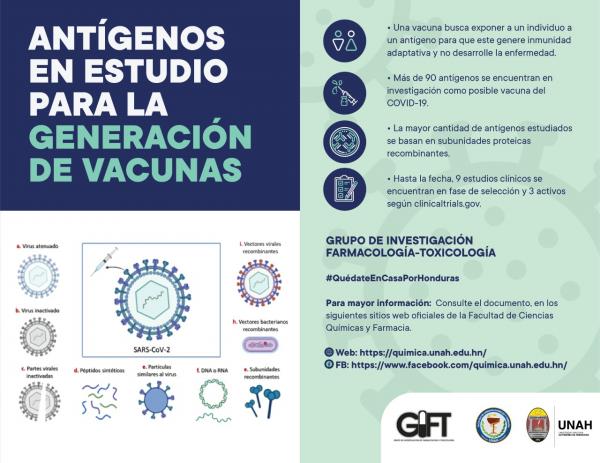 Antigenos en estudio para la generacion de vacunas.